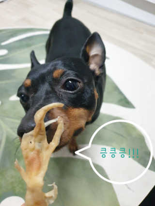 혜이유님이 올린 리뷰 사진 2