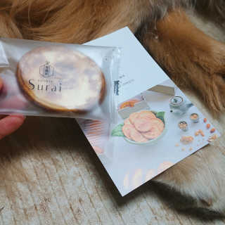 아보카도올리브님이 올린 리뷰 사진 3
