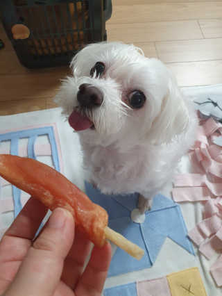 마이쭈님이 올린 리뷰 사진 2