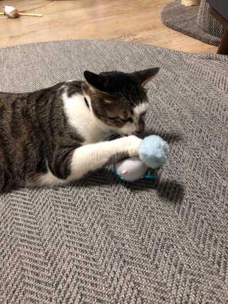 거니건이님이 올린 리뷰 사진 1