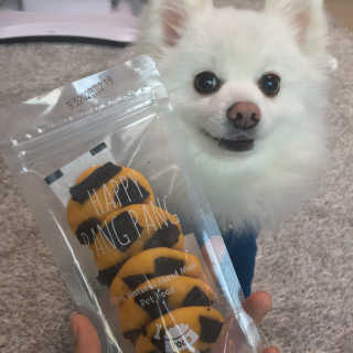 0ee님이 올린 리뷰 사진 1