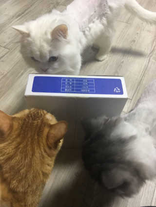 SujinJeong님이 올린 리뷰 사진 2