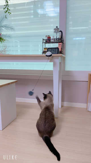 레비올라님이 올린 리뷰 사진 4