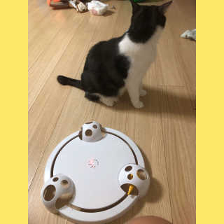 째콩이네님이 올린 리뷰 사진 3