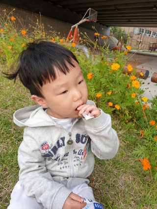 작은곰님이 올린 리뷰 사진 4