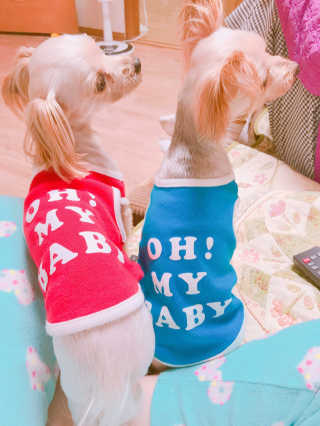 소카이트님이 올린 리뷰 사진 3