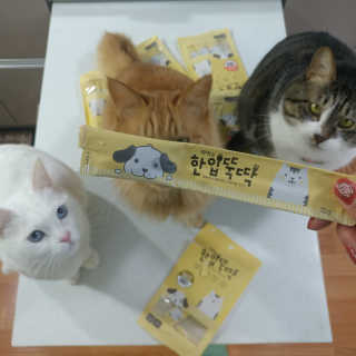 [펫토리아] 강아지,고양이겸용 짜먹는 한입뚝딱 — 5점을 준 리뷰어가 2019년 1월 올린 사용 사진