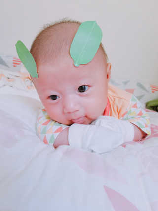 시아맘님이 올린 리뷰 사진 4