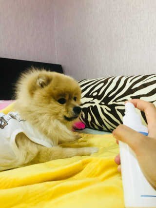 haeun98님이 올린 리뷰 사진 3