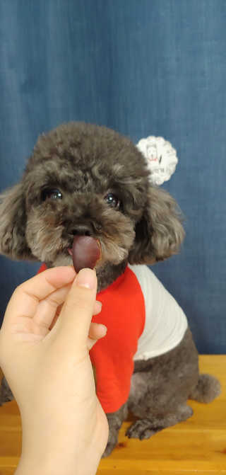 다온유님이 올린 리뷰 사진 2
