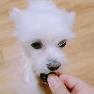 노다지님이 올린 리뷰 사진 4