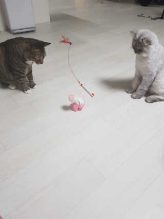 SuJinKim님이 올린 리뷰 사진 2