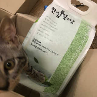 김지혜님이 올린 리뷰 사진 3