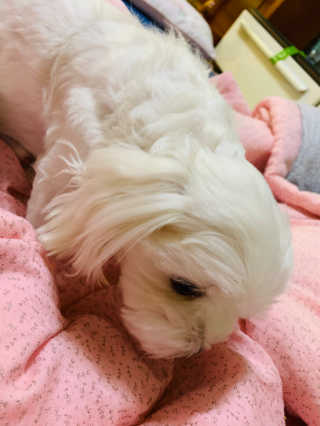 뿌잉꾸님이 올린 리뷰 사진 3