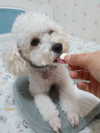 호두맘님이 올린 리뷰 사진 3