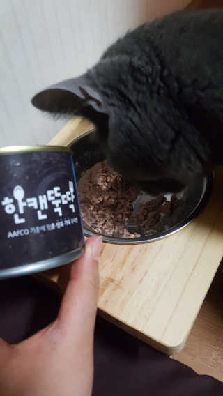 [펫토리아] BEST 한캔뚝딱 고양이 주식캔 — 5점을 준 리뷰어가 2019년 3월 올린 사용 사진