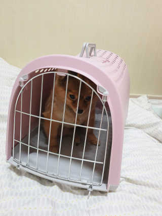 은선이짱님이 올린 리뷰 사진 4