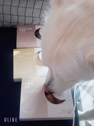 딸랑구둘🥰님이 올린 리뷰 사진 1