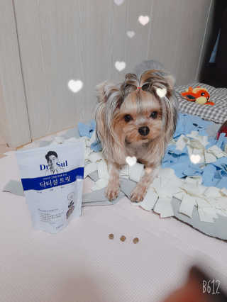 딸기맘님이 올린 리뷰 사진 2