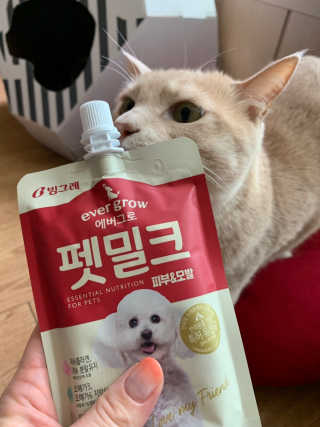 [빙그레] 에버그로 생유산균 1봉（10포입）+펫밀크2팩 — 4점을 준 리뷰어가 2019년 5월 올린 사용 사진