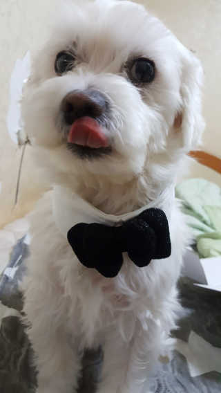 차찐뀨님이 올린 리뷰 사진 2