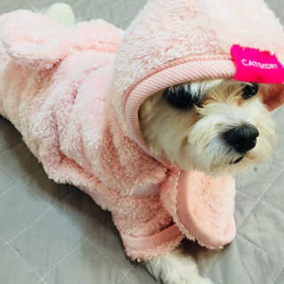 당근님이 올린 리뷰 사진 1