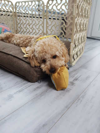 큐티윤님이 올린 리뷰 사진 3