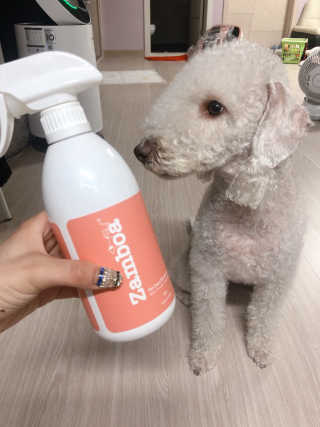 mangjizz님이 올린 리뷰 사진 2