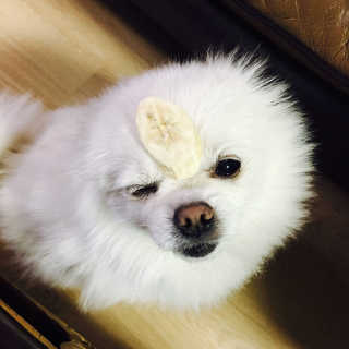 noname님이 올린 리뷰 사진 4