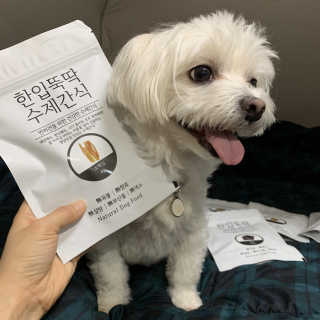 [펫토리아] 한입뚝딱 강아지 수제간식 BEST 5종 — 4점을 준 리뷰어가 2019년 2월 올린 사용 사진