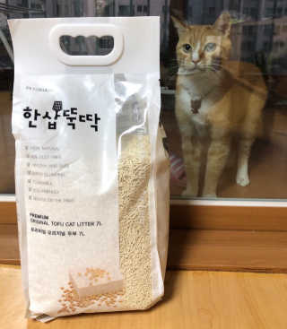[펫토리아]한삽뚝딱 프리미엄 고양이 두부모래 — 5점을 준 리뷰어가 2019년 8월 올린 사용 사진