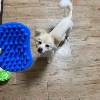 정혜원님이 올린 리뷰 사진 1