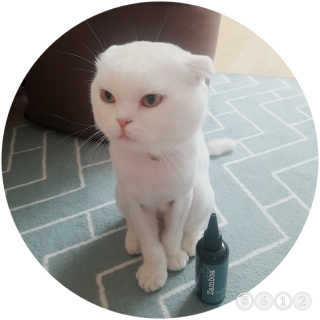 sunny38님이 올린 리뷰 사진 2