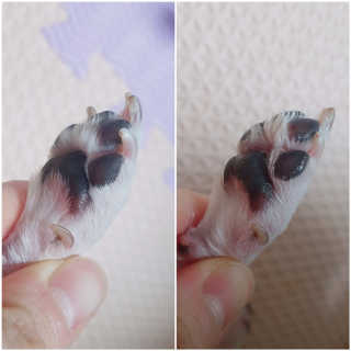 깔롱마미님이 올린 리뷰 사진 4