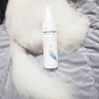 삼숑이맘님이 올린 리뷰 사진 4