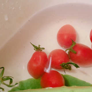 반달토끼님이 올린 리뷰 사진 3