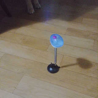 아보카도올리브님이 올린 리뷰 사진 3