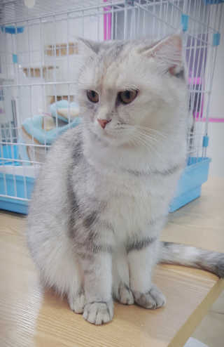 김뺩뺘님이 올린 리뷰 사진 3