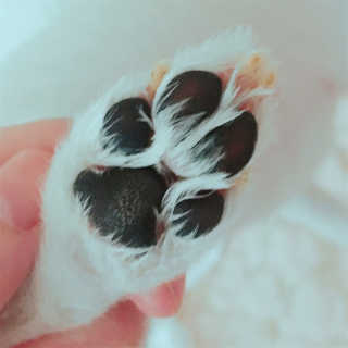 김혜정님이 올린 리뷰 사진 3