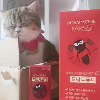 심지수님이 올린 리뷰 사진 2