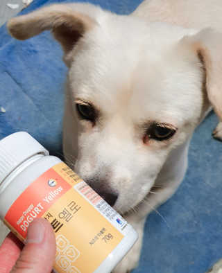 순심이님이 올린 리뷰 사진 1