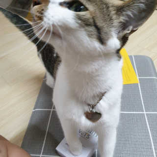 AnnaJo님이 올린 리뷰 사진 4
