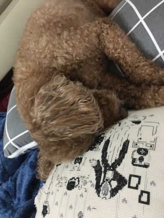 행복하고건강하기님이 올린 리뷰 사진 4
