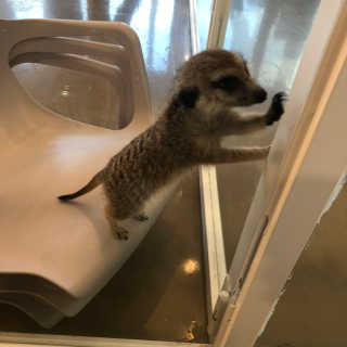효자님이 올린 리뷰 사진 3