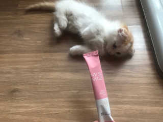 구힘찬님이 올린 리뷰 사진 3
