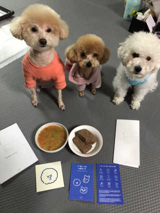 [어글어글] 반려견 친환경 간식 9종 세트 — 5점을 준 리뷰어가 2020년 1월 올린 사용 사진