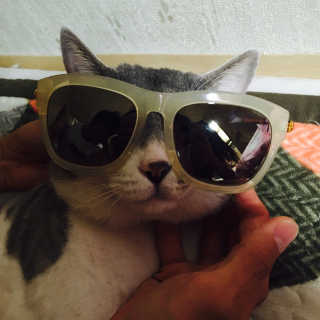 노희선님이 올린 리뷰 사진 3