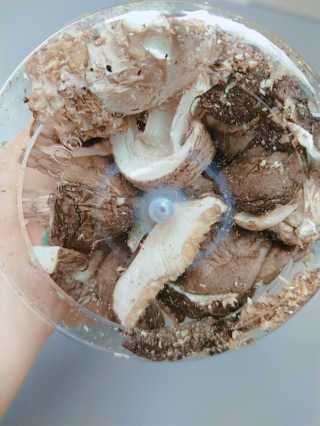 주연님이 올린 리뷰 사진 1