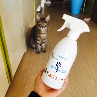 isb1197님이 올린 리뷰 사진 1
