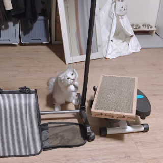 yuni님이 올린 리뷰 사진 3